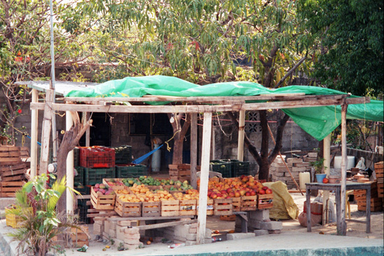 Obststand in Tehuantepec
